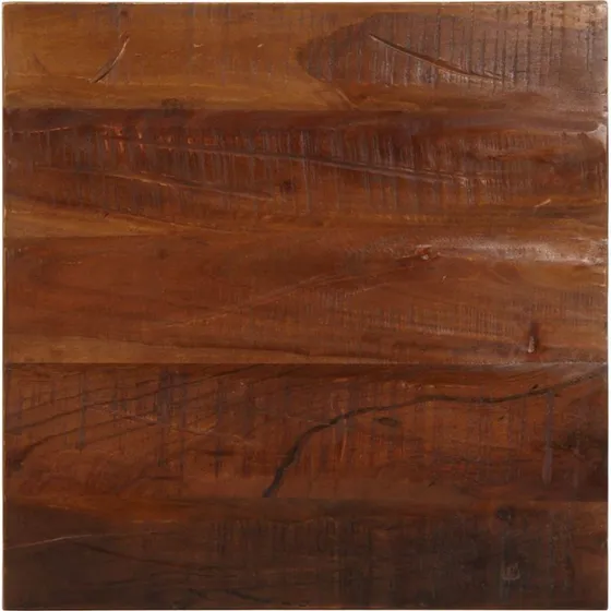 vidaXL bordplade 60x60x2,5 cm i massivt genbrugstr