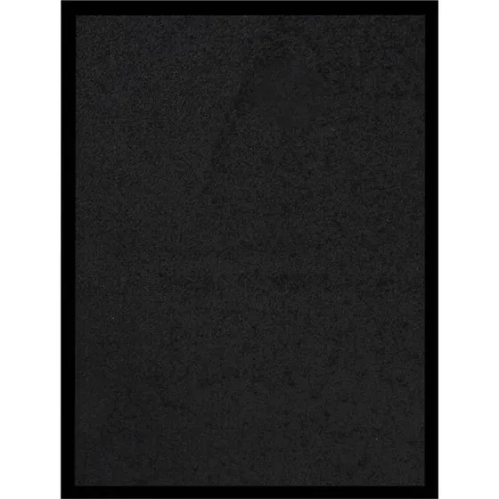 vidaXL dørmåtte 40x60 cm sort