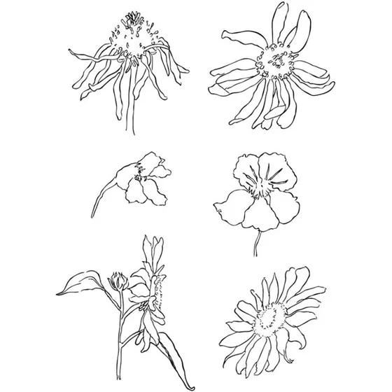 Silikonestempler, sommer - ark 11×15,5 cm