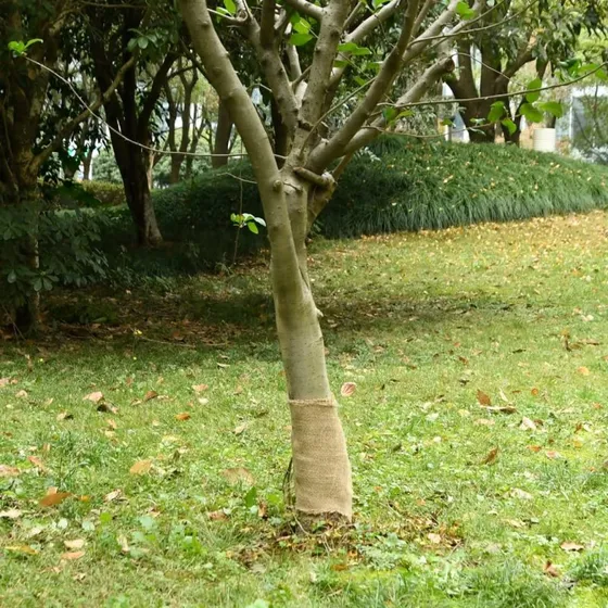 vidaXL juterulle 0,25x100 m 200 gsm 100% jute