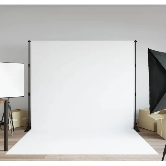 vidaXL stativ til fotobaggrund 254x243 cm stl, sort