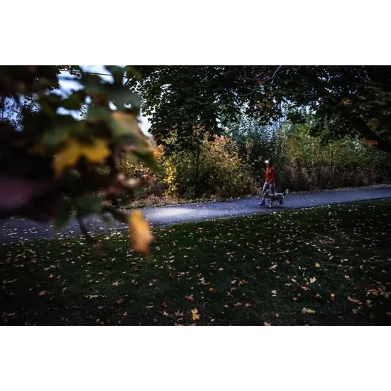 LEDLenser HF4R Core Red pandelampe 500 lm