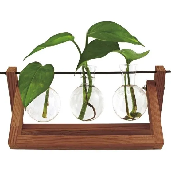 Winkee Hydro Vases Blossom – Hydroponisk vase