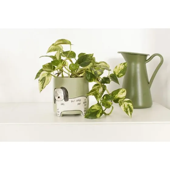 Winkee Blomsterpotte Hund - H40×Ø13 cm