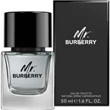 Burberry Mr. Burberry Eau de Toilette 100 ml