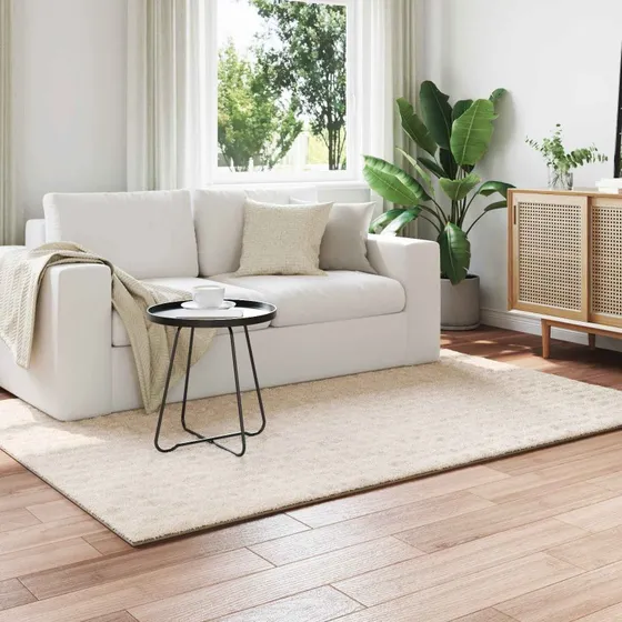 Områdetæppe SIROLO 230x160 cm Beige