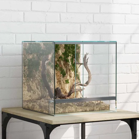 Terrarium i glas 303030 cm  transparent