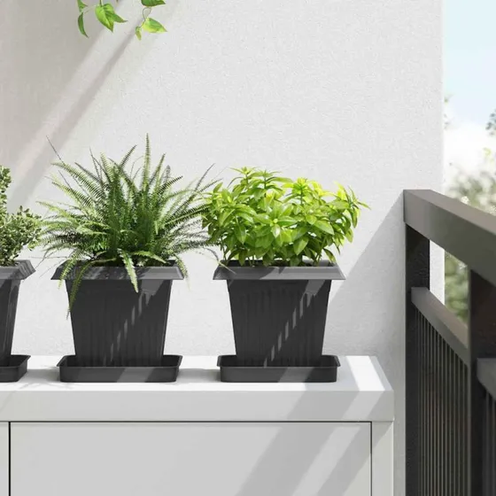 Sæt 6 firkantede blomsterkrukker sort — plast