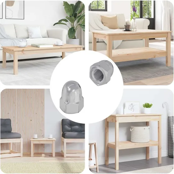 Skruen kapmtrik 2 stk Slv M6 x 10 mm, jern