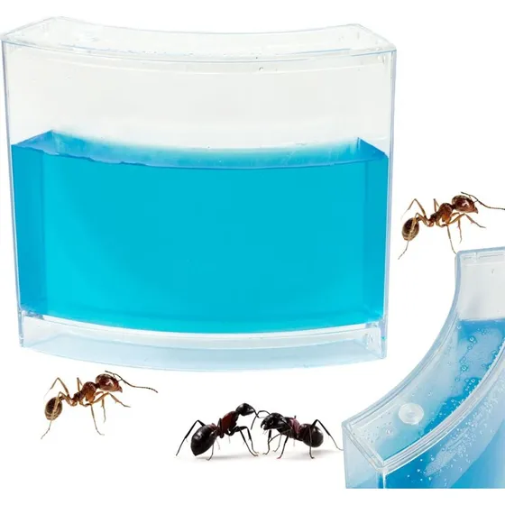 MyreAkvarium Gel-Set – Pædagogisk Observationsæt med Blå Gel