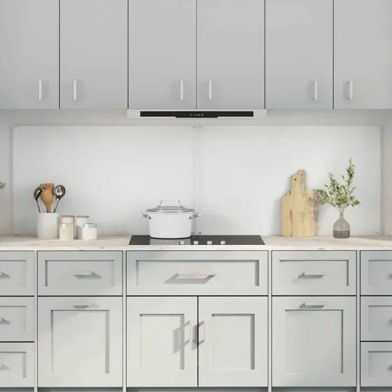 vidaXL Køkkenbacksplash 2 stk, 100 x 60 cm, transparent, hærdet glas