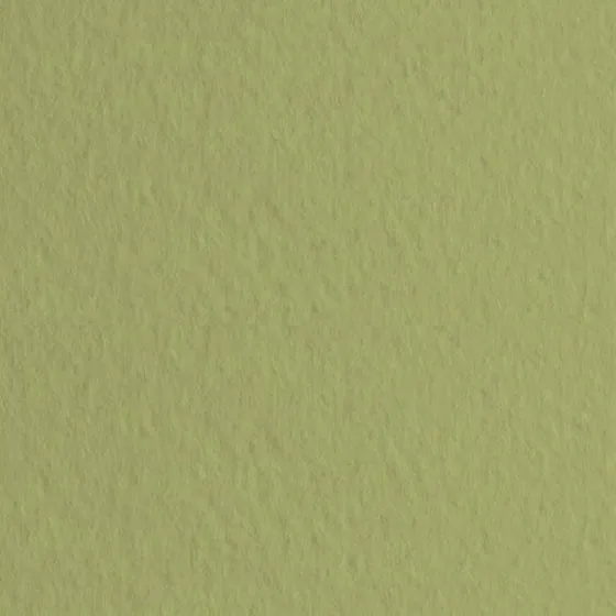 Fabriano Tiziano kunstnerpapir 50×65 cm 160 g/m² – Muschio