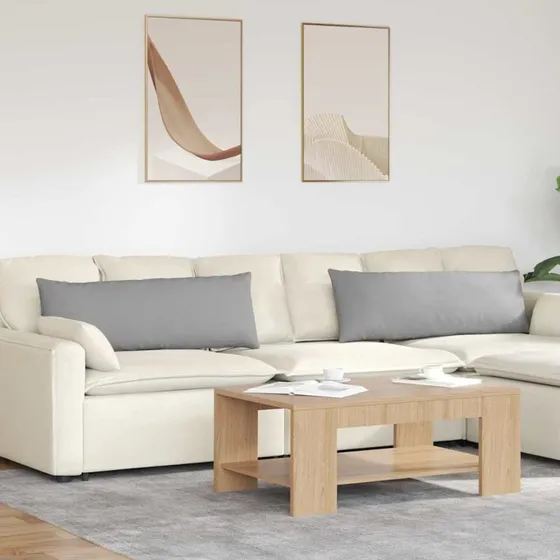 vidaXL Sofapuder 2 stk, 120 x 40 cm, Skygrå, Stof