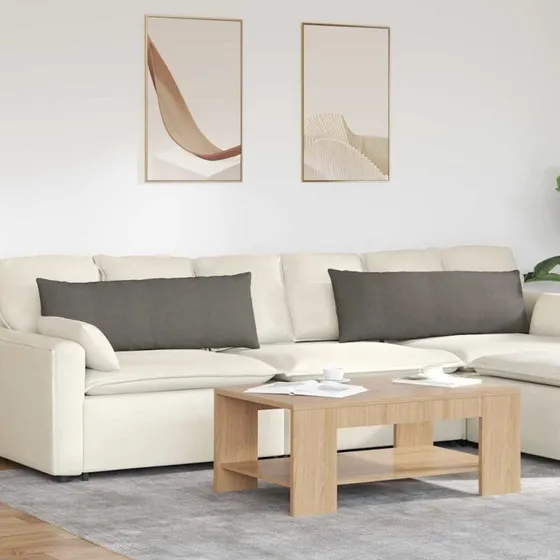 vidaXL Sofapuder 2 stk Lysegrå 120 x 40 cm Velourstof