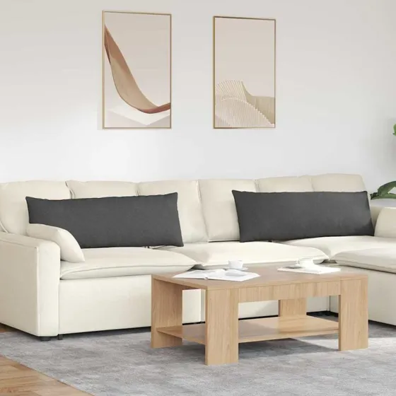 vidaXL Sofapuder 2 stk Mørkegrå 120 x 40 cm Velourstof