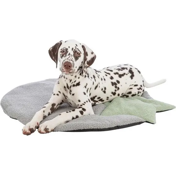 Trixie Junior Liggemåtte 55x61 cm – Grå & Lys Mint med Stjerne