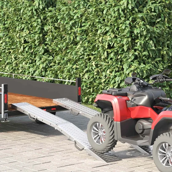 vidaXL Foldbar Rampe 200kg, 2 stk, Sølv, 186 x 23 x 4,5 cm