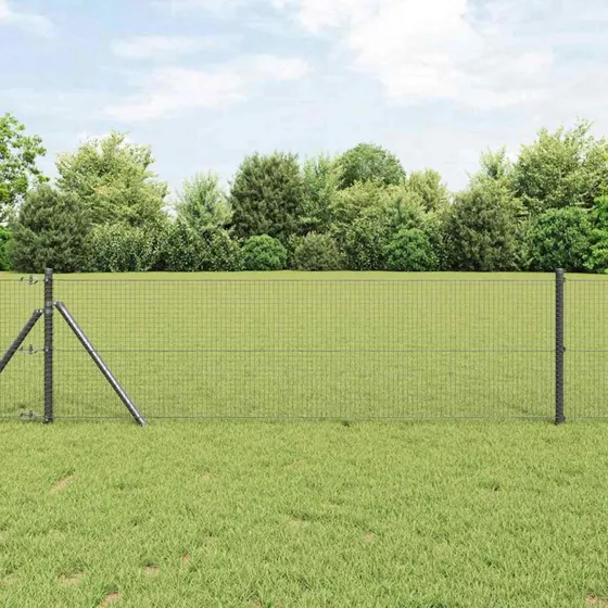 vidaXL Svejset Trådhegn Grå 0.8 x 10 m