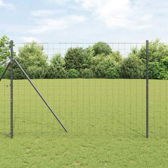 vidaXL Euro Hejn Grå 1,6 x 10 m PVC-belagt jern