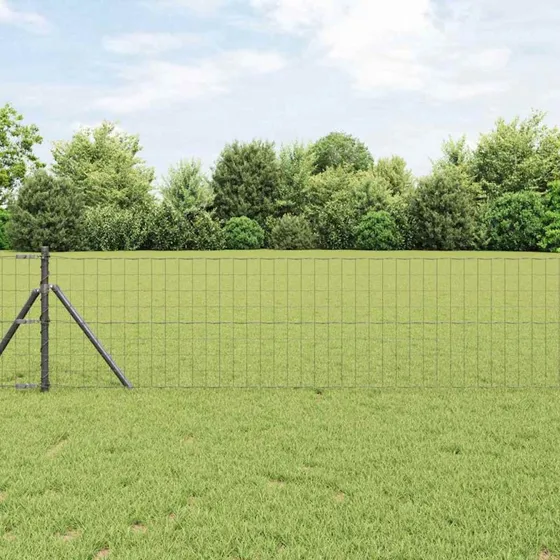 vidaXL Euro Hejn Grå 0,4 x 25 m PVC-belagt jern