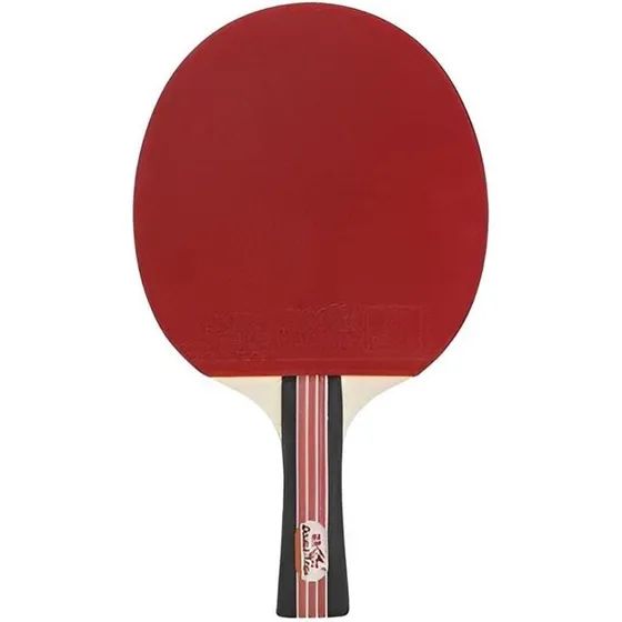 Double Fish 2 DF-02 Bordtennisbat