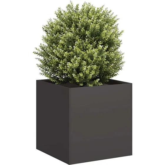 vidaXL Plantekasse 40x40x40 cm Sort Koldvalset Stål