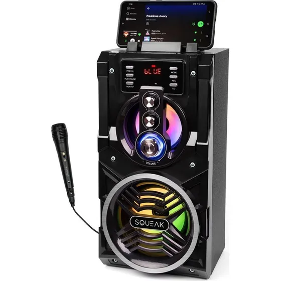 Squeak SQ1000 Bluetooth Karaoke Højttaler, 20W, Sort
