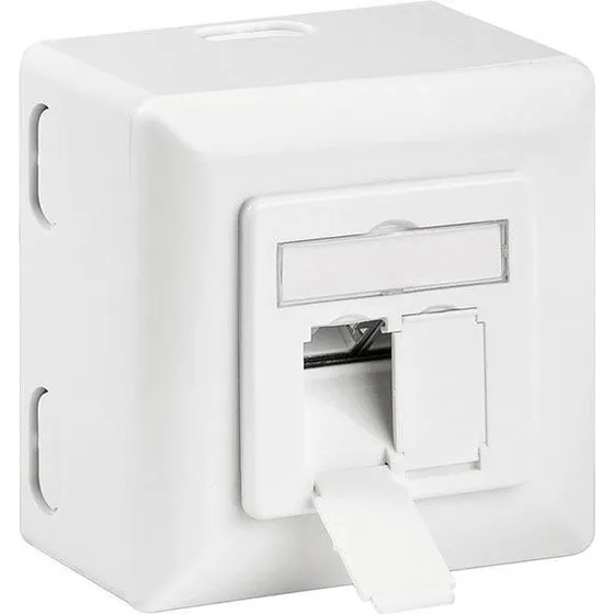 Goobay 68572 Cat6a 2x RJ45 Hvid Stikkontakt