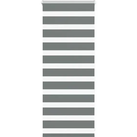 vidaXL Zebragardin mørkegrå 55x100 cm