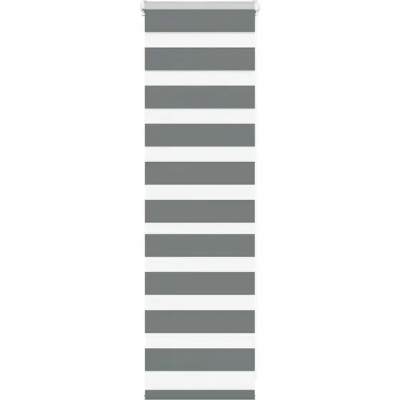 vidaXL Zebragardin Mørkegrå 50x100 cm