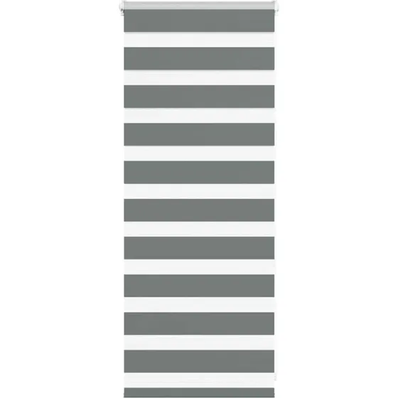 vidaXL Zebragardin Mørkegrå 65x100 cm
