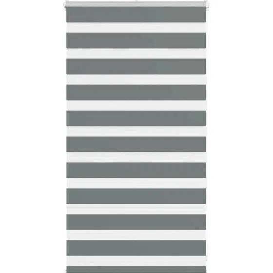 vidaXL Zebragardin Mørkegrå 70x100 cm
