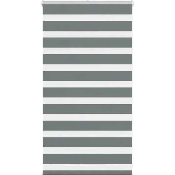 vidaXL Zebragardin Mørkegrå 75x100 cm