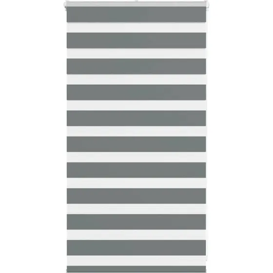 vidaXL Zebragardin Mørkegrå 90x100 cm