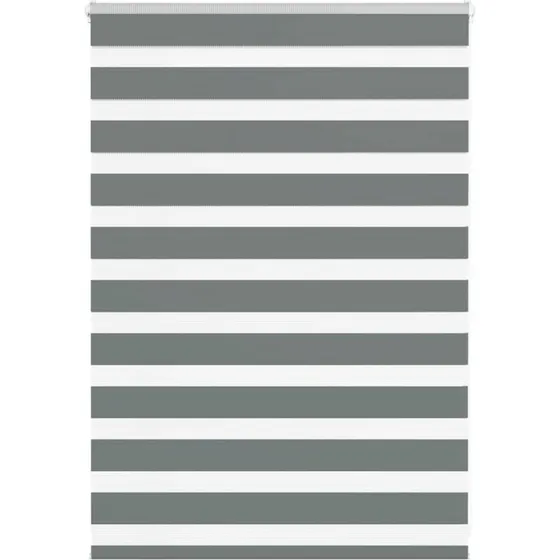 vidaXL Zebragardin mørkegrå 100x100 cm, 95,9 cm bred