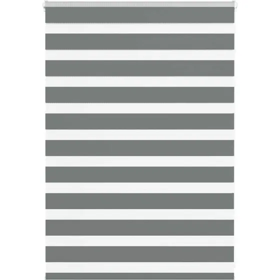 vidaXL Zebragardin Mørkegrå 110x100 cm