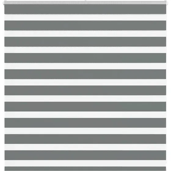 vidaXL Zebragardin Mørkegrå 150x100 cm