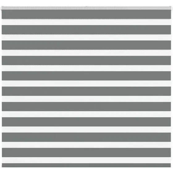 vidaXL Zebragardin Mørkegrå 155x100 cm