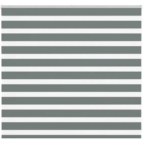 vidaXL Zebragardin Mørkegrå 160x100 cm