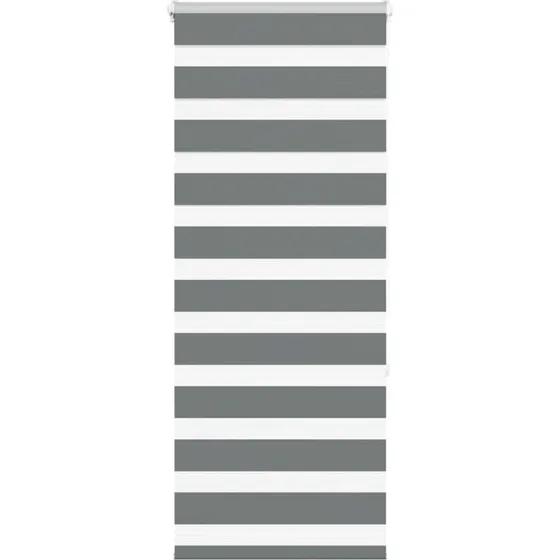 vidaXL Zebragardin Mørkegrå 55x150 cm