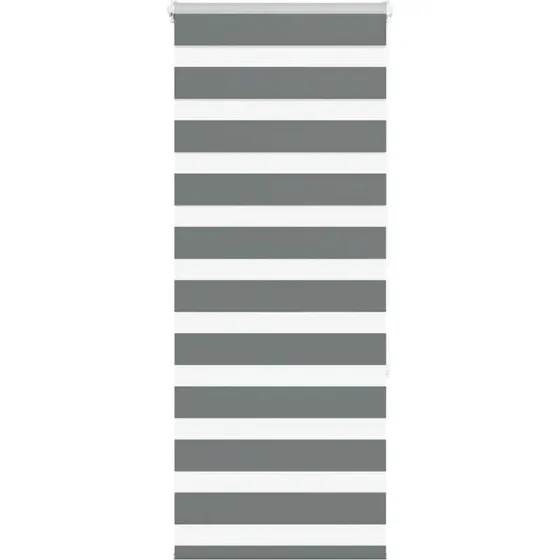 vidaXL Zebragardin Mørkegrå 60x150 cm
