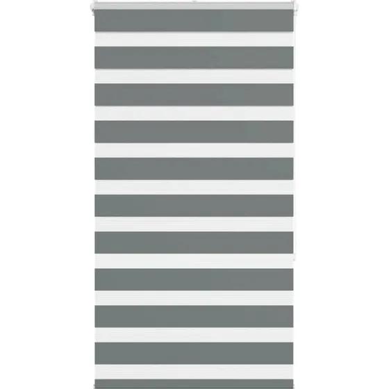 vidaXL Zebragardin Mørkegrå 85x150 cm