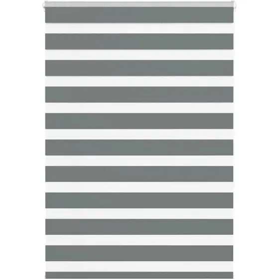 vidaXL Zebragardin Mørkegrå 110x150 cm