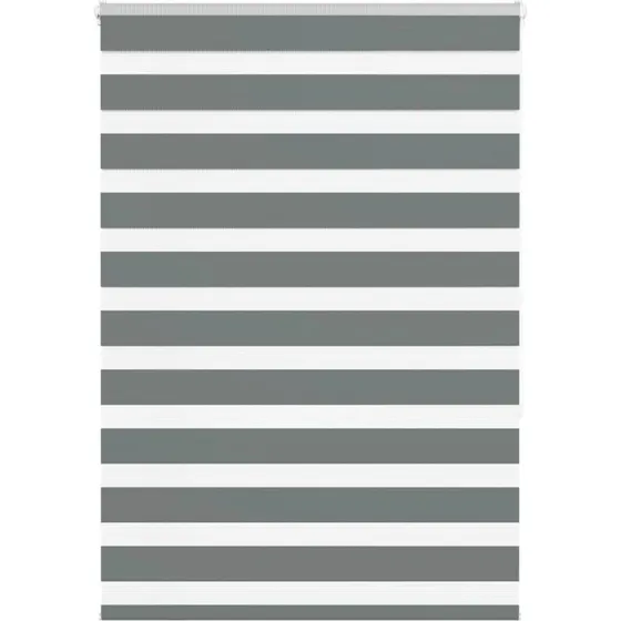 vidaXL Zebragardin Mørkegrå 115x150 cm