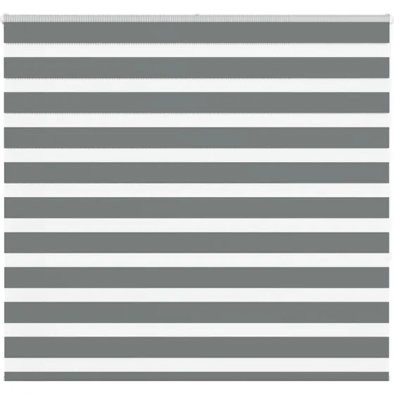 vidaXL Zebragardin Mørkegrå 160x150 cm