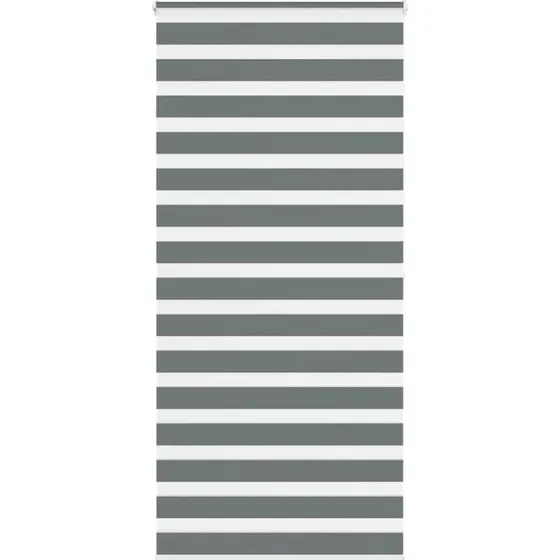 vidaXL Zebragardin Mørkegrå 105x200 cm