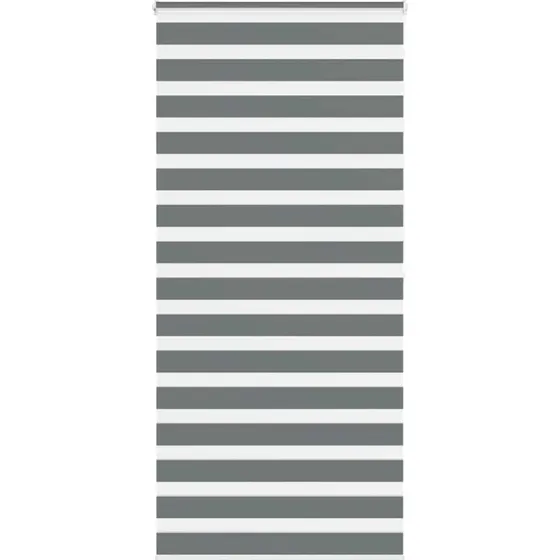 vidaXL Zebragardin Mørkegrå 110x200 cm