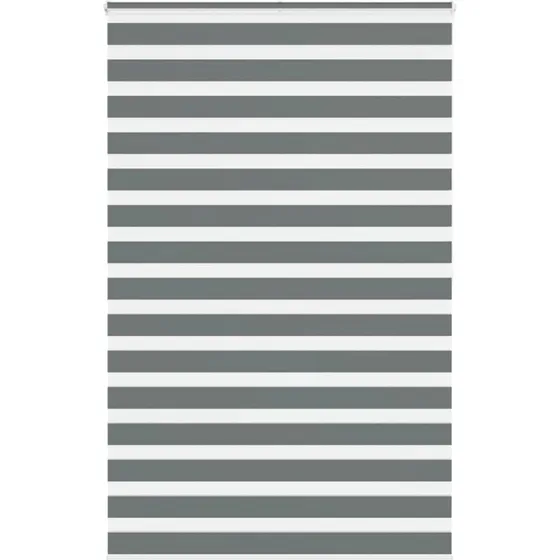 vidaXL Zebragardin mørkegrå 145x200 cm