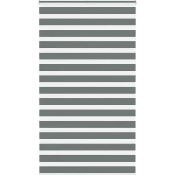 vidaXL Zebragardin mørkegrå 120x230 cm