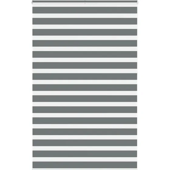 vidaXL Zebragardin Mørkegrå 140x230 cm
